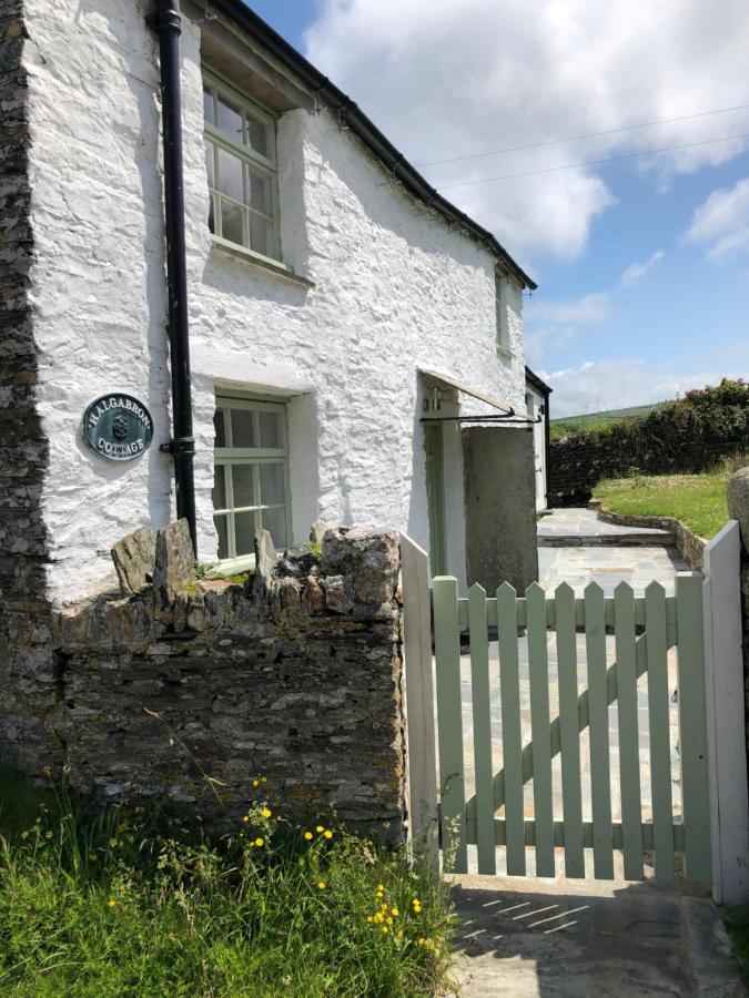 Picture Perfect Cottage In Rural Tintagel Exterior photo