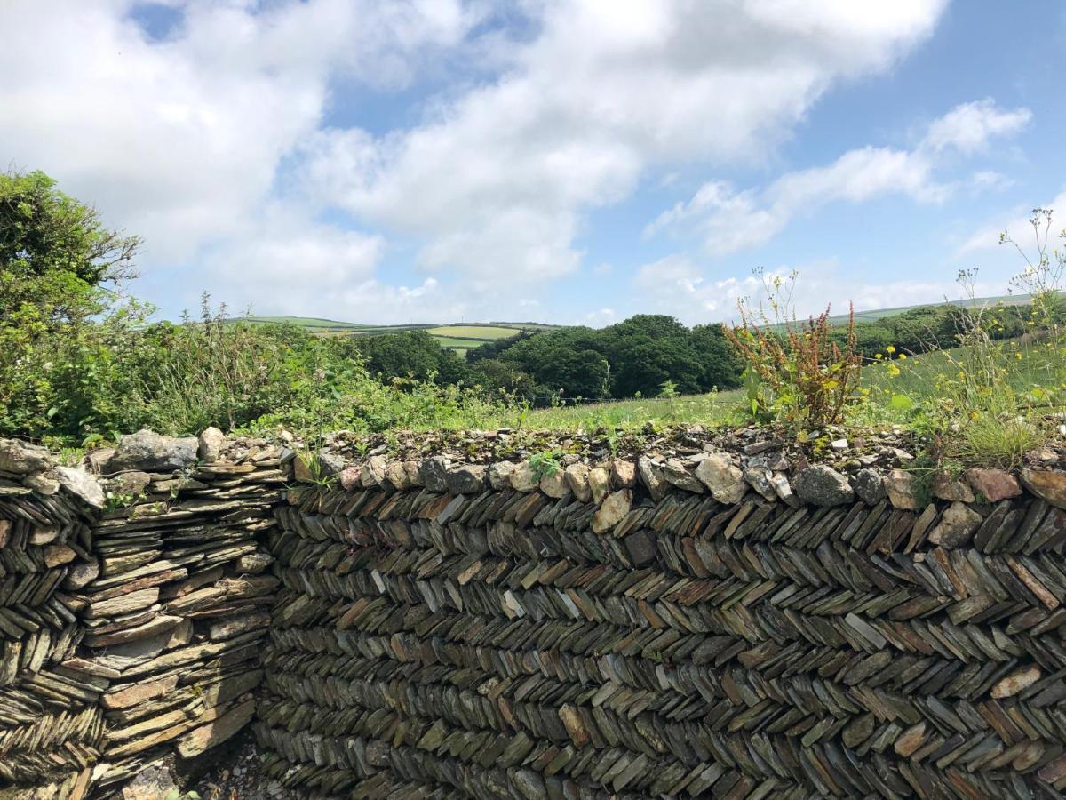 Picture Perfect Cottage In Rural Tintagel Exterior photo